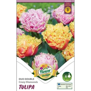 Tulipa Duo Double Crazy Diamonds 6 db (LA)