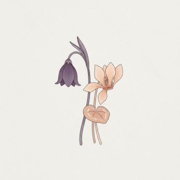 Egyéb őszi virághagymák