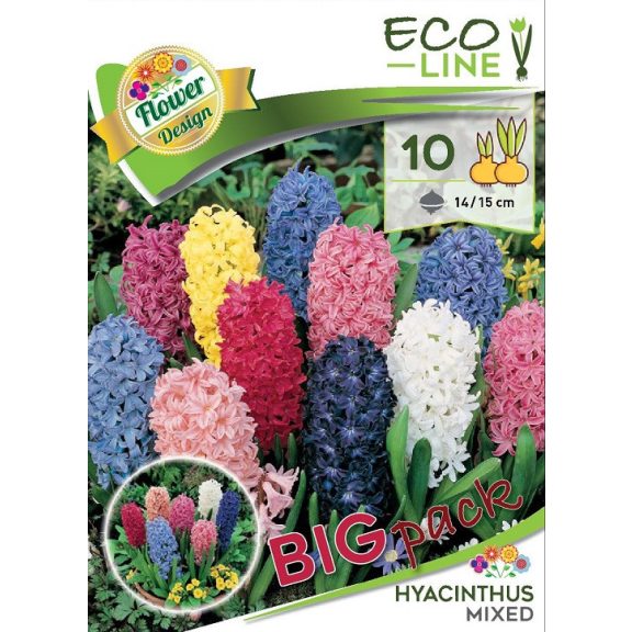 Hyacinthus mixed / Jácint színkeverék 10 db (LA)