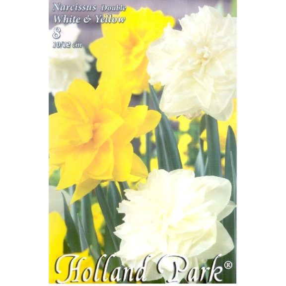 Narcissus Double White&Yellow duo / Nárcisz teltv. fehér-sárga 6 db (LA)