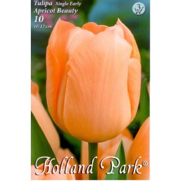  Tulipa Apricot Beauty / Egyszerű virágú korai tulipán 7 db (LA)