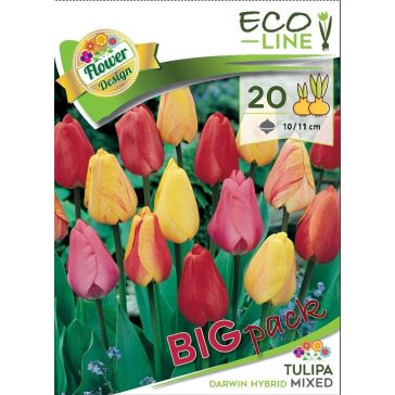   Darwin-hybrid tulipán színkeverék / Darwin hibrid mixed 20 db (LA)