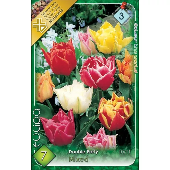 Tulipa Double early mixed / Teltvirágú színkeverék Tulipán 10 db (LA)