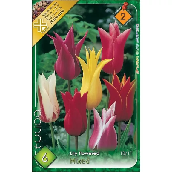 Tulipa Lilyflowered mix / Tulipán Liliomvirágú mix 6 db (LA)