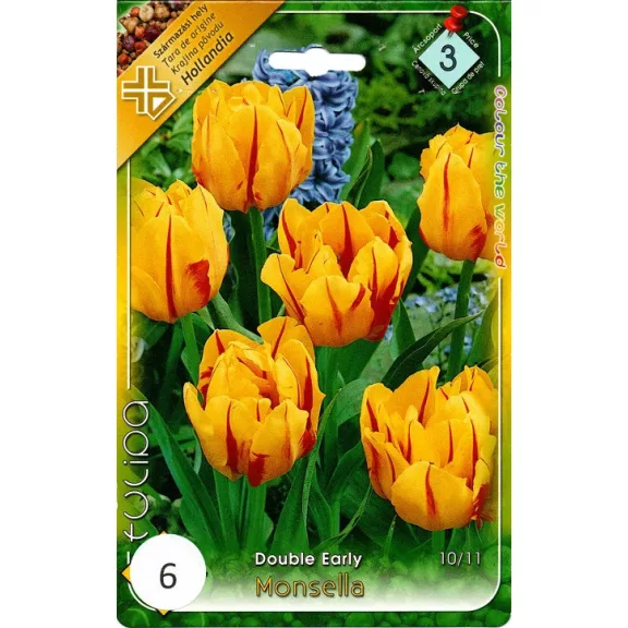 Tulipa Monsella / Teltvirágú korai tulipán 6 db (LA)
