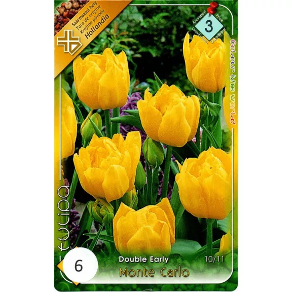 Tulipa Monte Carlo / Teltvirágú korai tulipán 6 db (LA)
