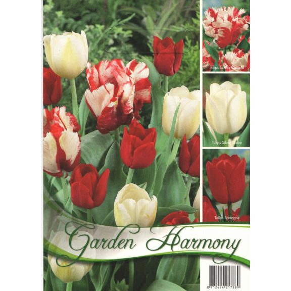 Tulipán kollekció 3×5 db / piros-fehér (LA)