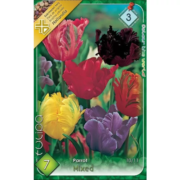 Tulipa Parrot Mixed / Papagájvirágú tulipán mix 7 db (LA)